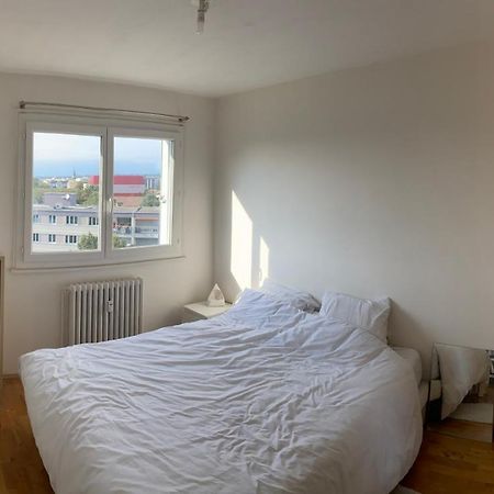 Appartement Avec Belle Vue Et Place De Parking Annemasse Kültér fotó